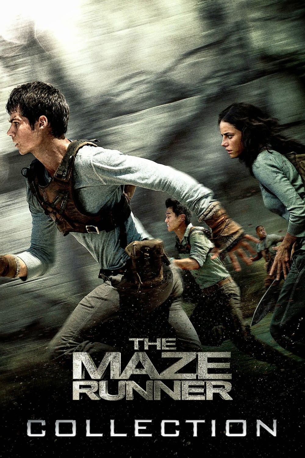 The Maze Runner [198391] (A1523349625) Collection (Movies) --Plex--